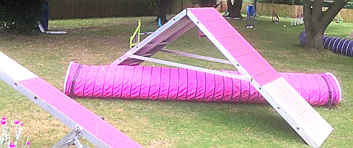 Agility equipment