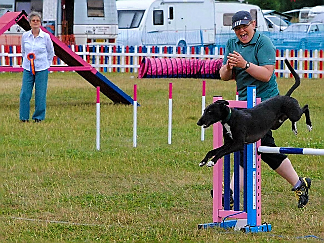 Woodland Agility Group